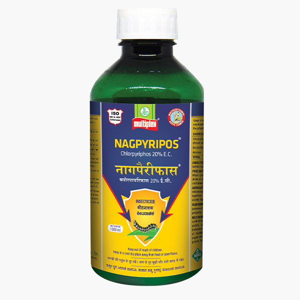 Multiplex Nagpyripos