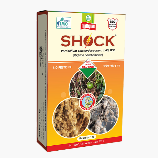 Multiplex Shock