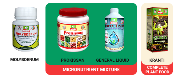 Nutrient Deficiencies and Remedies