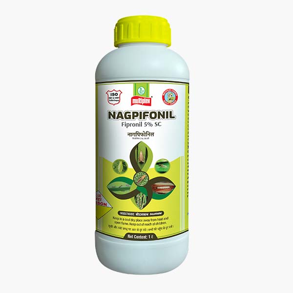 Back Image